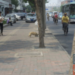 0525-dsc_0269_15_[WM] (Welcome to China)