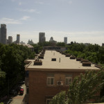 DSC_0005 (The good, the bad and the ugly)