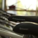 bike shop (Totally Went Bike Shopping)