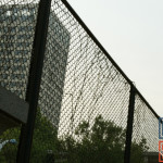 0608-dsc_0107_15_[WM] (What’s it been now a week?)