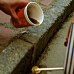 DSC_0049 (I met you at Helen’s)