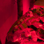 DSC_0123 (I met you at Helen’s)