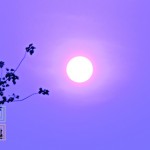 [dailyshia]07-0629 (Week 3 in Tianjin)