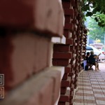 [dailyshia]11-0711 (Week 5)