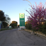 IMG_2528 (Can’t get up!)