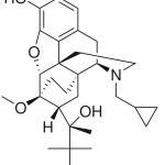 Buprenorphine (Pharmacology Annotation: Drug Rehabilitation)