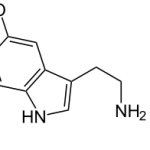 ssri (Pharmacology Annotation: SSRI)