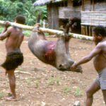 chapter02a_8-2596138111 (The Gebusi : Chapter 2 Response)