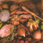 chapter03a_6-1003806252 (The Gebusi : Chapter 7 Response)