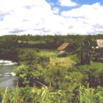 chapter7c_5-400509147 (The Gebusi : Chapter 7 Response)